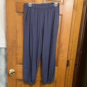 Aerie blue Textured Joggers small